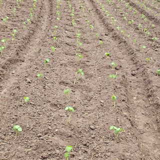 백용기님의 자유주제 · 자유게시판 작성글 사진