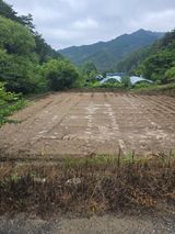 팜모닝 들깨·영농일지 게시글 이미지