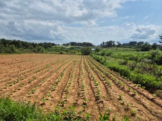 송하영님의 자유주제 · 자유게시판 작성글 사진