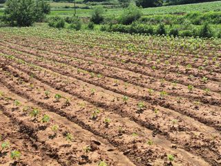송하영님의 자유주제 · 자유게시판 작성글 사진