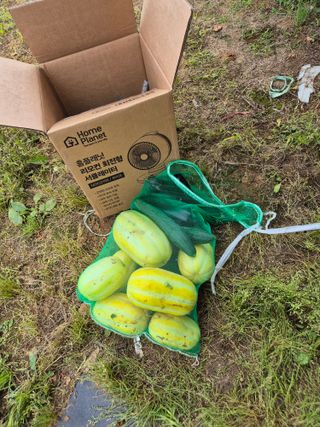 송하영님의 자유주제 · 자유게시판 작성글 사진