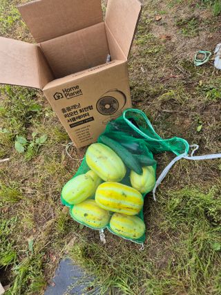 송하영님의 자유주제 · 자유게시판 작성글 사진