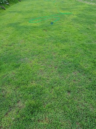 초이스등대님의 기타작물 · 영농일지 작성글 사진