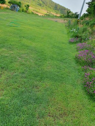 초이스등대님의 기타작물 · 영농일지 작성글 사진