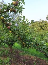 팜모닝 자유주제·자유게시판 게시글 이미지