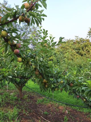 욕심내지말자님의 자유주제 · 자유게시판 작성글 사진