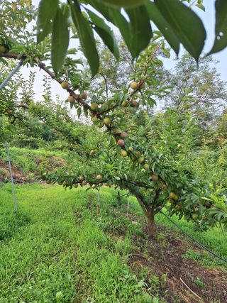 욕심내지말자님의 자유주제 · 자유게시판 작성글 사진
