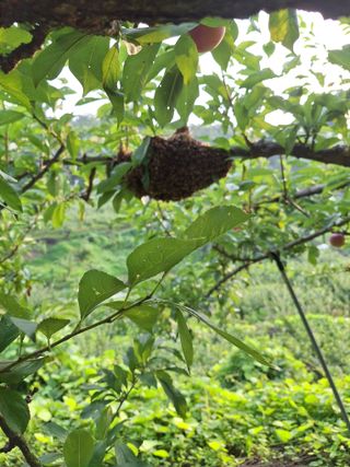욕심내지말자님의 자유주제 · 자유게시판 작성글 사진