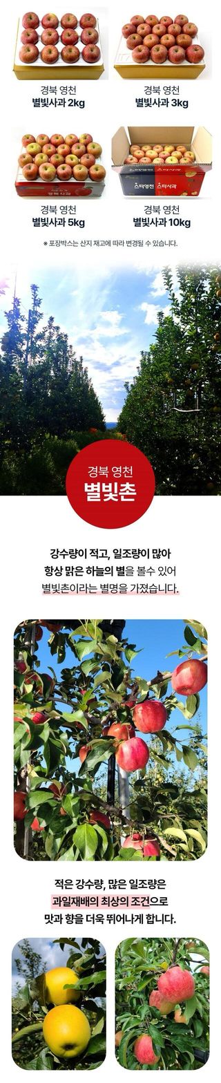 정유진님의 작성글 사진
