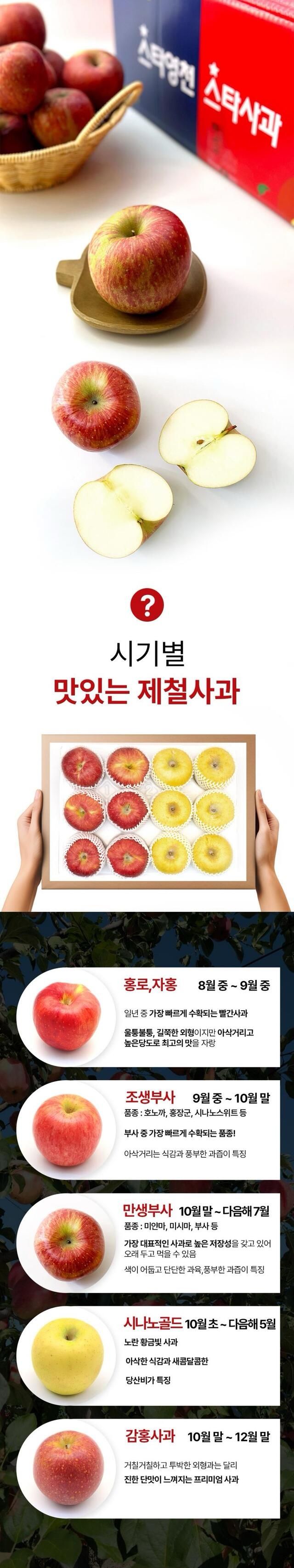 정유진님의 장터 판매 상품 [스타 영천 별빛 꼬마 사과 2kg 11-13입] 첨부 사진