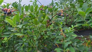 김동만님의 자유주제 · 자유게시판 작성글 사진