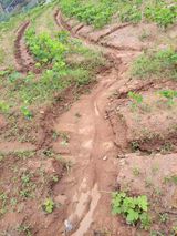 팜모닝 자유주제·자유게시판 게시글 이미지