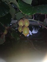 팜모닝 자유주제·자유게시판 게시글 이미지