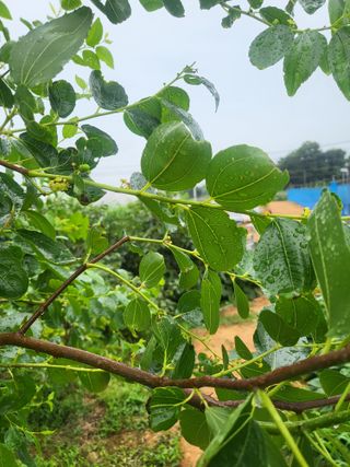 소솔블루베리 김주흥님의 자유주제 · 자유게시판 작성글 사진