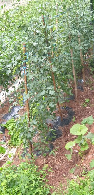 청림구관효님의 자유주제 · 자유게시판 작성글 사진