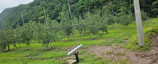 미스터션샤인님의 사과 · 영농일지 작성글 사진