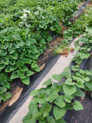 박용찬 님의 자유주제 · 자유게시판 작성글 사진