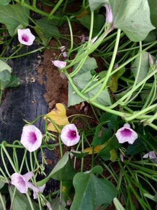 박용찬 님의 자유주제 · 자유게시판 작성글 사진