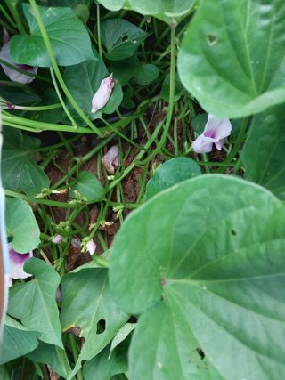 박용찬 님의 자유주제 · 자유게시판 작성글 사진