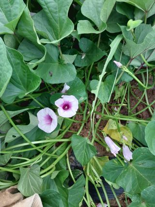 박용찬 님의 자유주제 · 자유게시판 작성글 사진