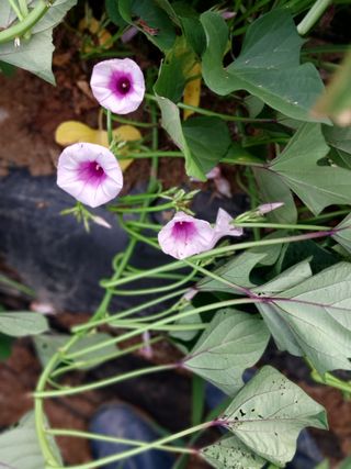 박용찬 님의 자유주제 · 자유게시판 작성글 사진