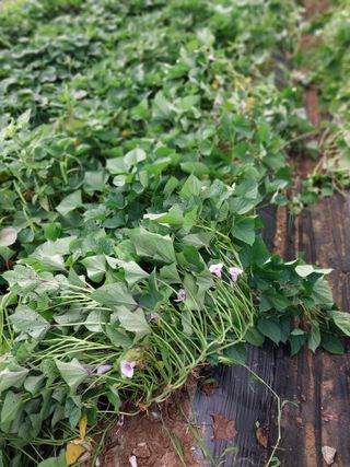 박용찬 님의 자유주제 · 자유게시판 작성글 사진