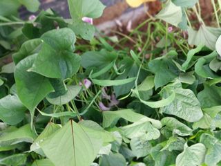 박용찬 님의 자유주제 · 자유게시판 작성글 사진