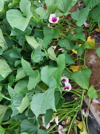 박용찬 님의 자유주제 · 자유게시판 작성글 사진