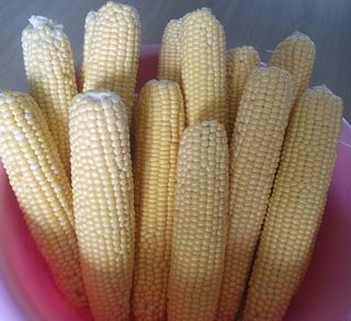 김양석님의 자유주제 · 자유게시판 작성글 사진