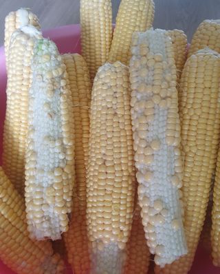 김양석님의 자유주제 · 자유게시판 작성글 사진