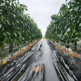 황철주님의 자유주제 · 자유게시판 작성글 사진