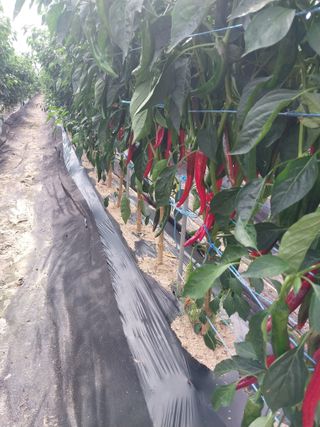 정완규님의 자유주제 · 자유게시판 작성글 사진