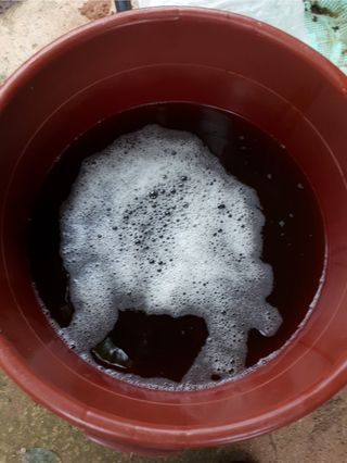 둥이농장(김준태)님의 고추 · 영농일지 작성글 사진