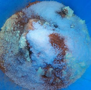 둥이농장(김준태)님의 고추 · 영농일지 작성글 사진