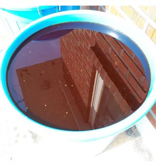 둥이농장(김준태)님의 고추 · 영농일지 작성글 사진