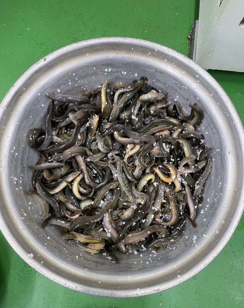 박창민님의 장터 판매 상품 [500gx5팩 원기회복 국내산 추어탕 ] 첨부 사진