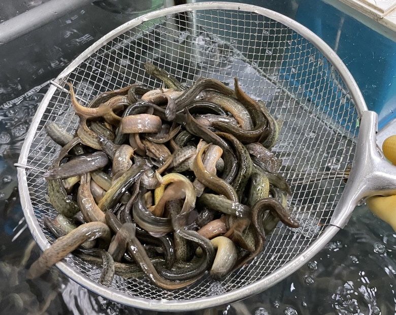 박창민님의 장터 판매 상품 [500gx5팩 원기회복 국내산 추어탕 ] 첨부 사진