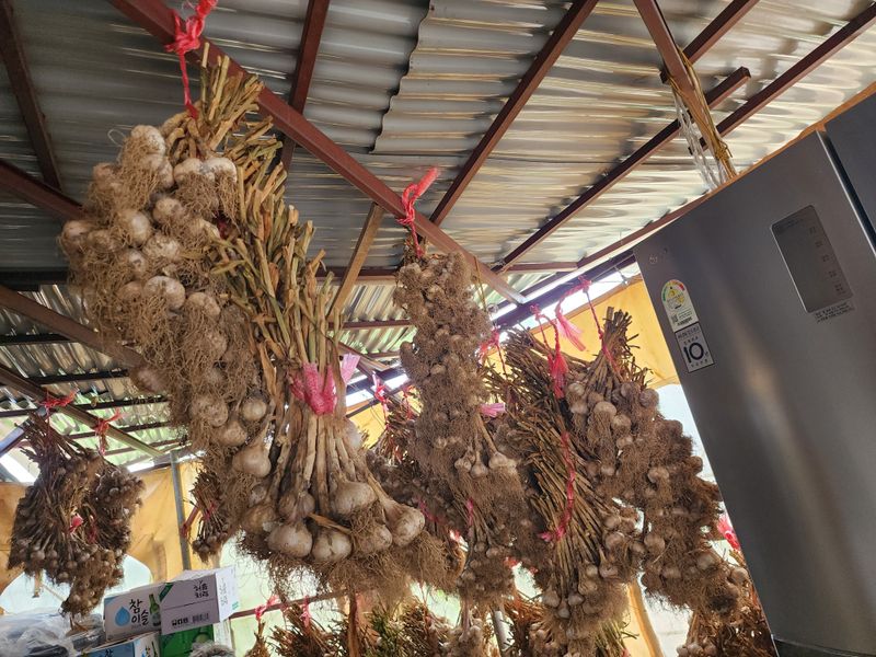 장터 상품 [마늘  100개] 썸네일