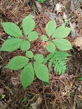 팜모닝 자유주제·자유게시판 게시글 이미지