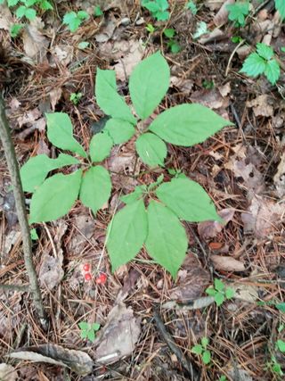 자연인님의 자유주제 · 자유게시판 작성글 사진