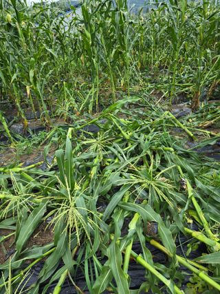 노아님의 자유주제 · 건의해요 작성글 사진