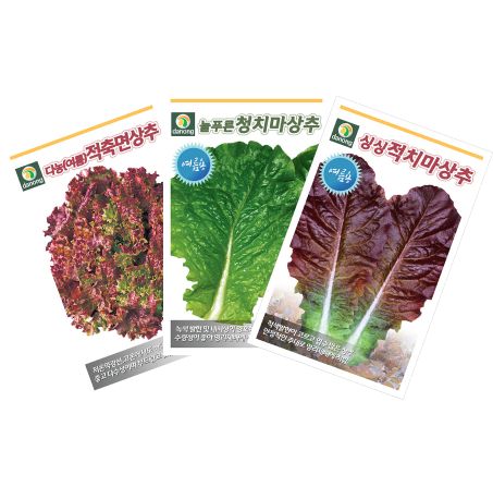 장터 상품 [여름상추3종세트 - [다농] 여름적축면,싱싱적치마,늘푸른청치마] 썸네일