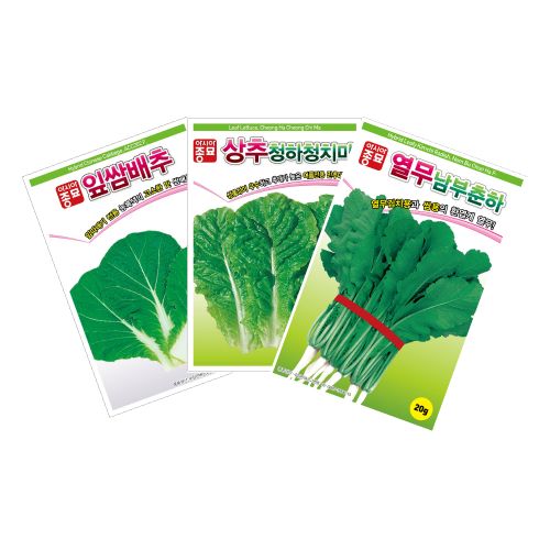 장터 상품 [여름쌈채소3종세트 - [아시아종묘] 잎쌈배추,청하청치마,남부춘하열무] 썸네일