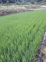 팜모닝 자유주제·자유게시판 게시글 이미지