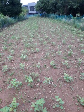 조동원님의 자유주제 · 자유게시판 작성글 사진