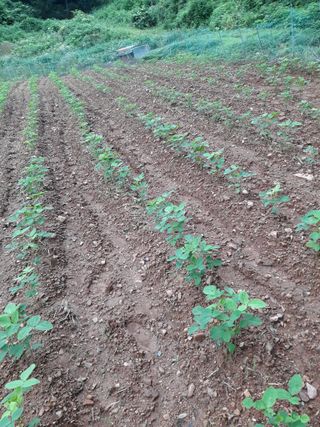 조동원님의 자유주제 · 자유게시판 작성글 사진