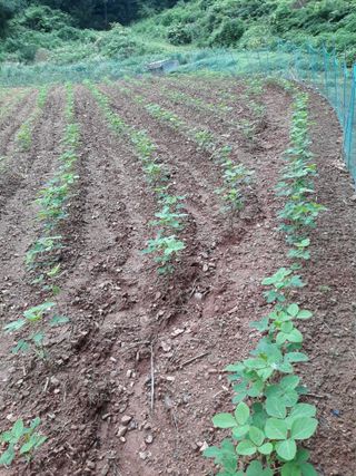 조동원님의 자유주제 · 자유게시판 작성글 사진