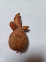 팜모닝 자유주제·자유게시판 게시글 이미지