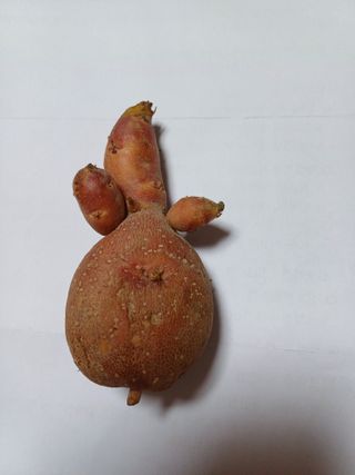 포천종삼농사꾼님의 자유주제 · 자유게시판 작성글 사진