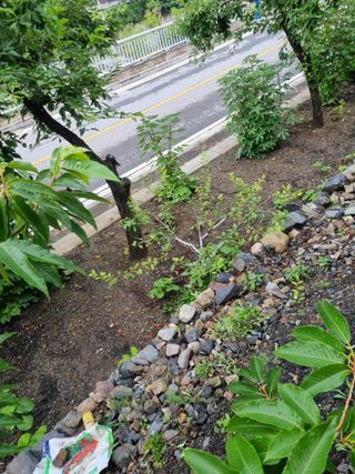 김용대님의 자유주제 · 자유게시판 작성글 사진